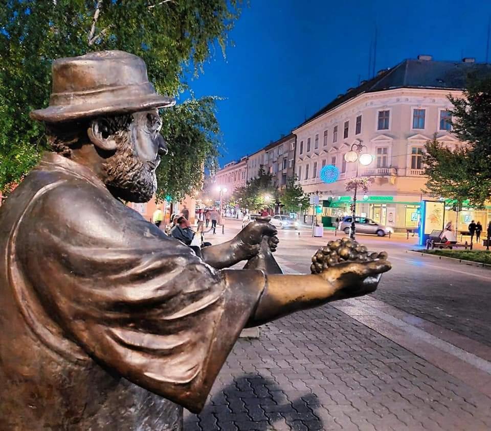 Hulk Vrsac Exterior foto