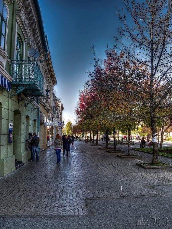 Hulk Vrsac Exterior foto